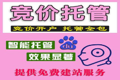 百度推广实战：高效提升网站流量案例